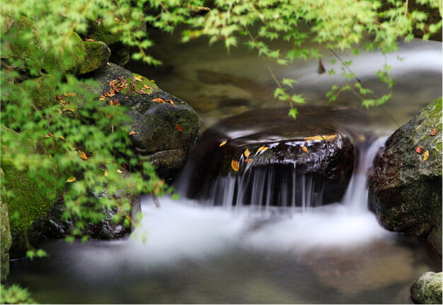 福岡うきはの本物の天然水「清水湧水」宅配のウォーターサーバー